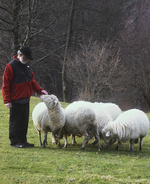 The North Face Casentino Collection Swaps Fleece for Italian Wool