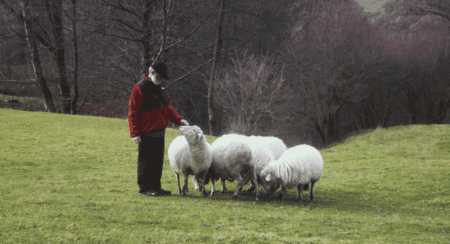 The North Face Casentino Collection Swaps Fleece for Italian Wool