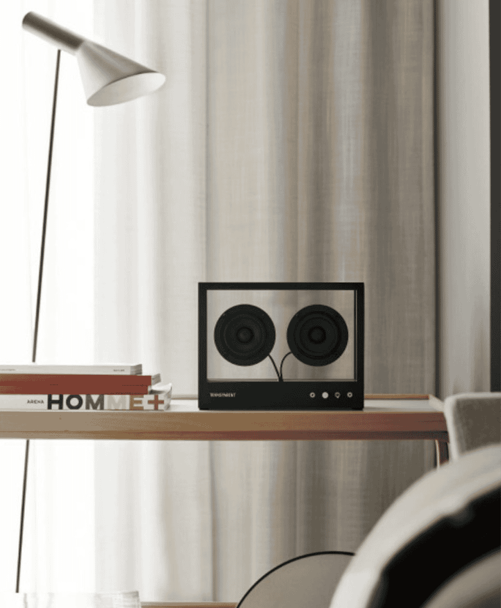 Transparent Bluetooth Speaker