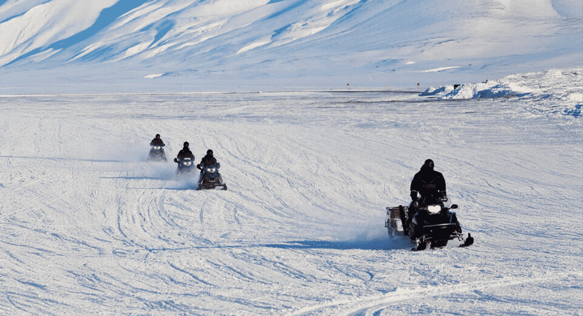 The Norway Assignment by Pelorus Travel
