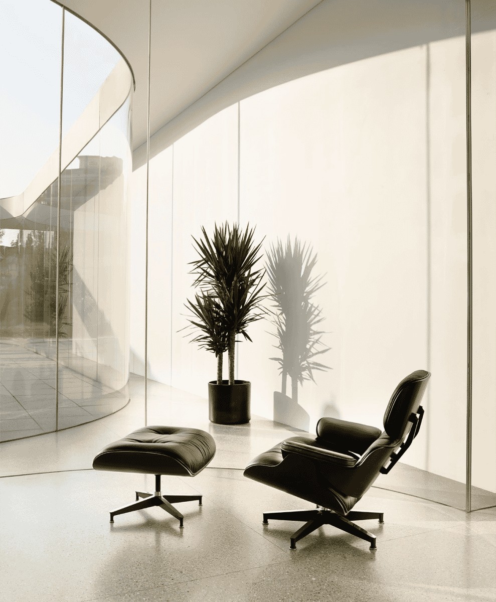 Eames Lounge Chair and Ottoman
