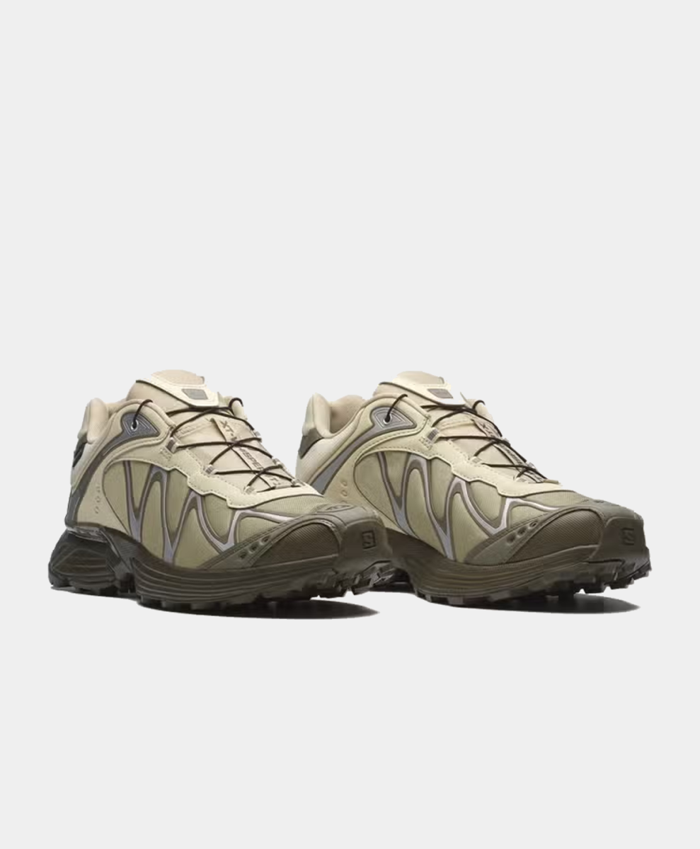 Salomon XT-Whisper Gore-Tex