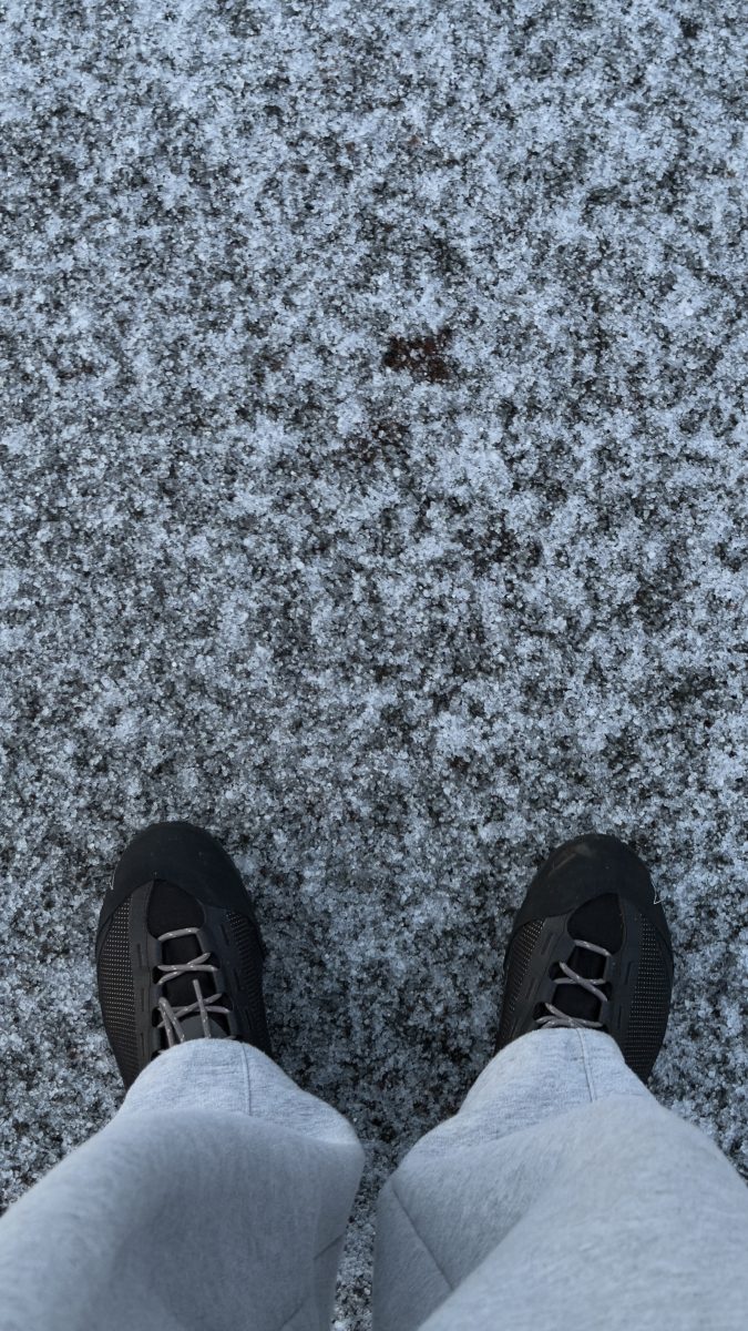 ROA Hida Lowe shoes